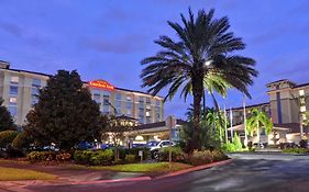 Hilton Garden Inn Orlando Lake Buena Vista
